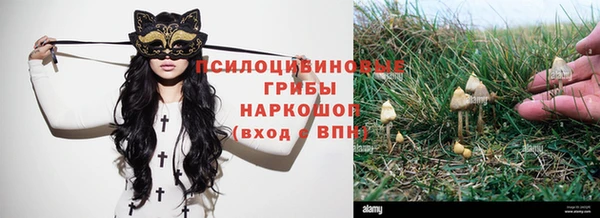 мескалин Нея